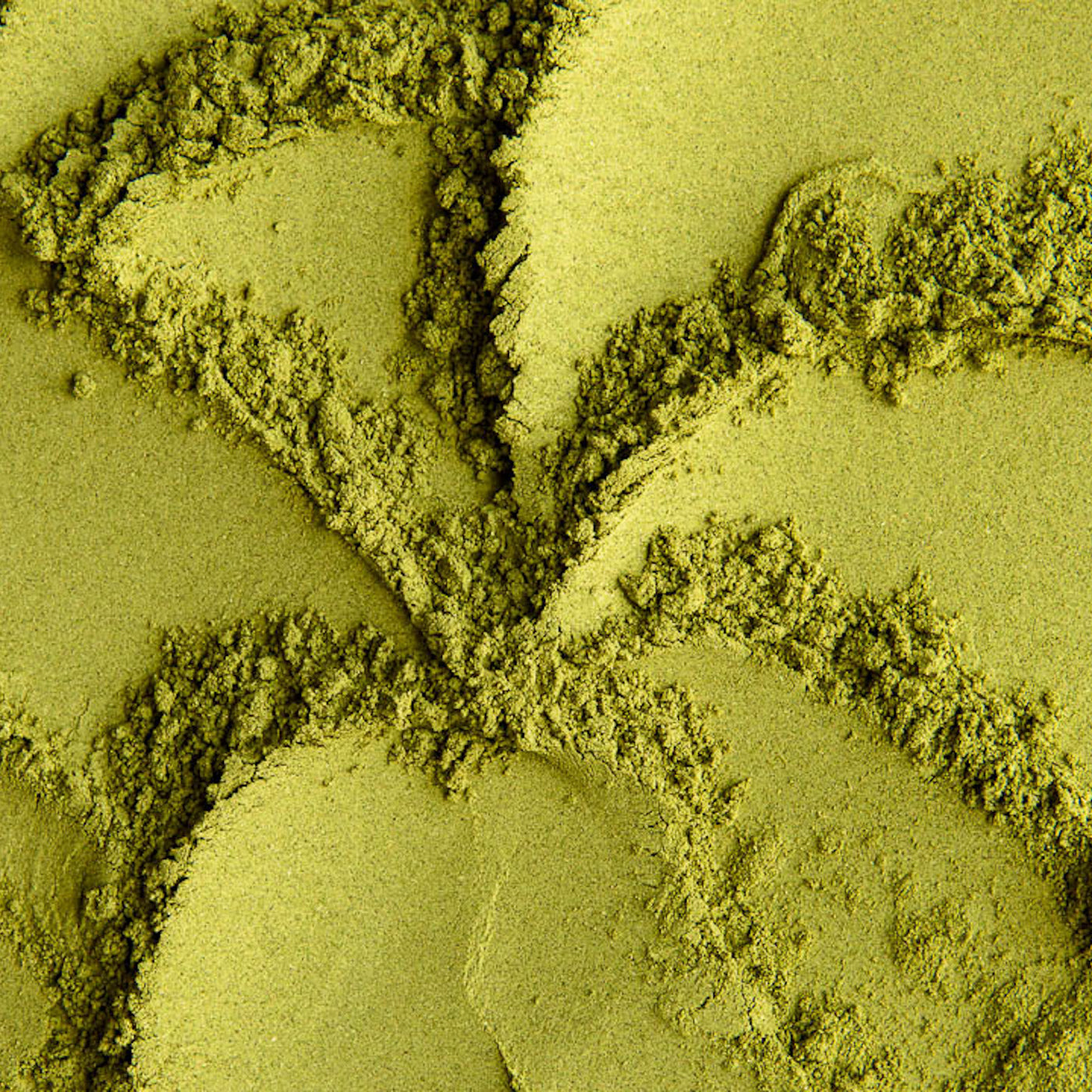 Moringa pulver 