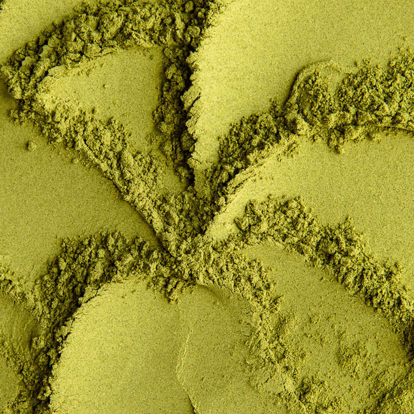 Moringa pulver 