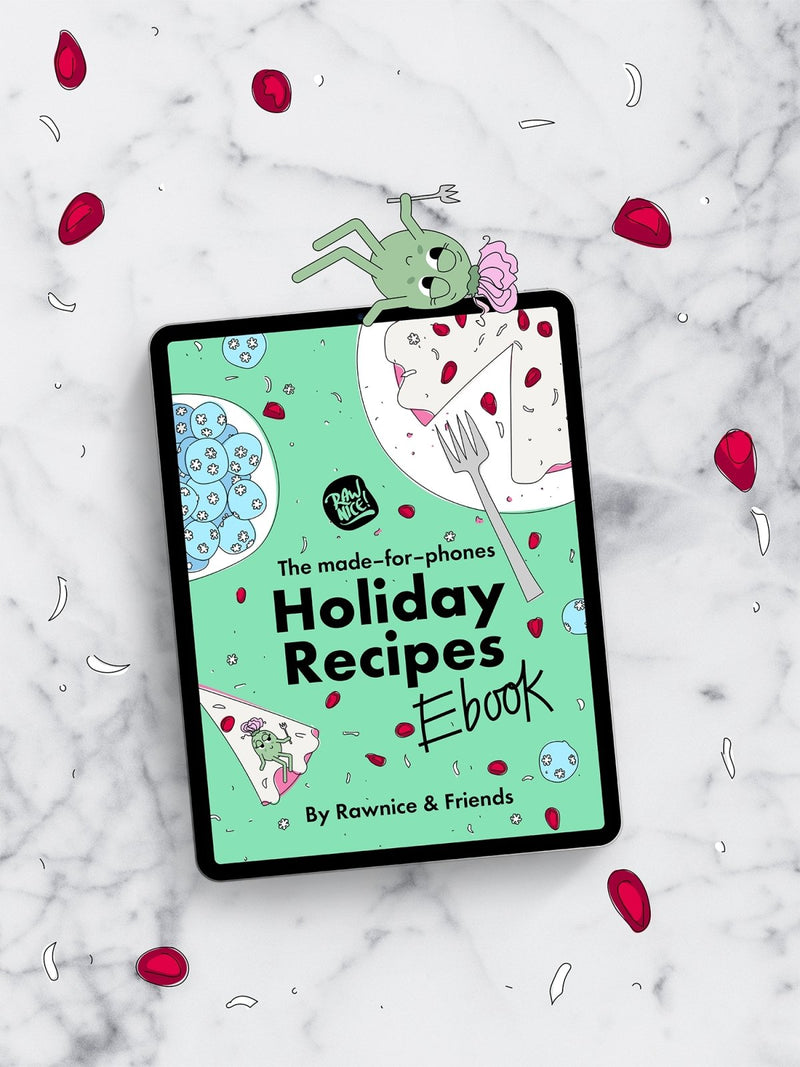 E-book: Holiday Recipes (16 recipes) - Rawnice
