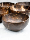 Rawnice - Mini Coconut Bowls